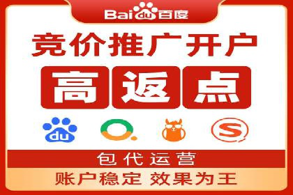 某行业sem竞价托管成功案例：精准投放的秘诀
